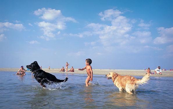 Foto: Visit Denmark