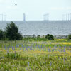 Foto: Andre de Loisted / &Oslash;resundsbron 