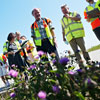 Foto: Peter Brinch / &Oslash;resundsbron 